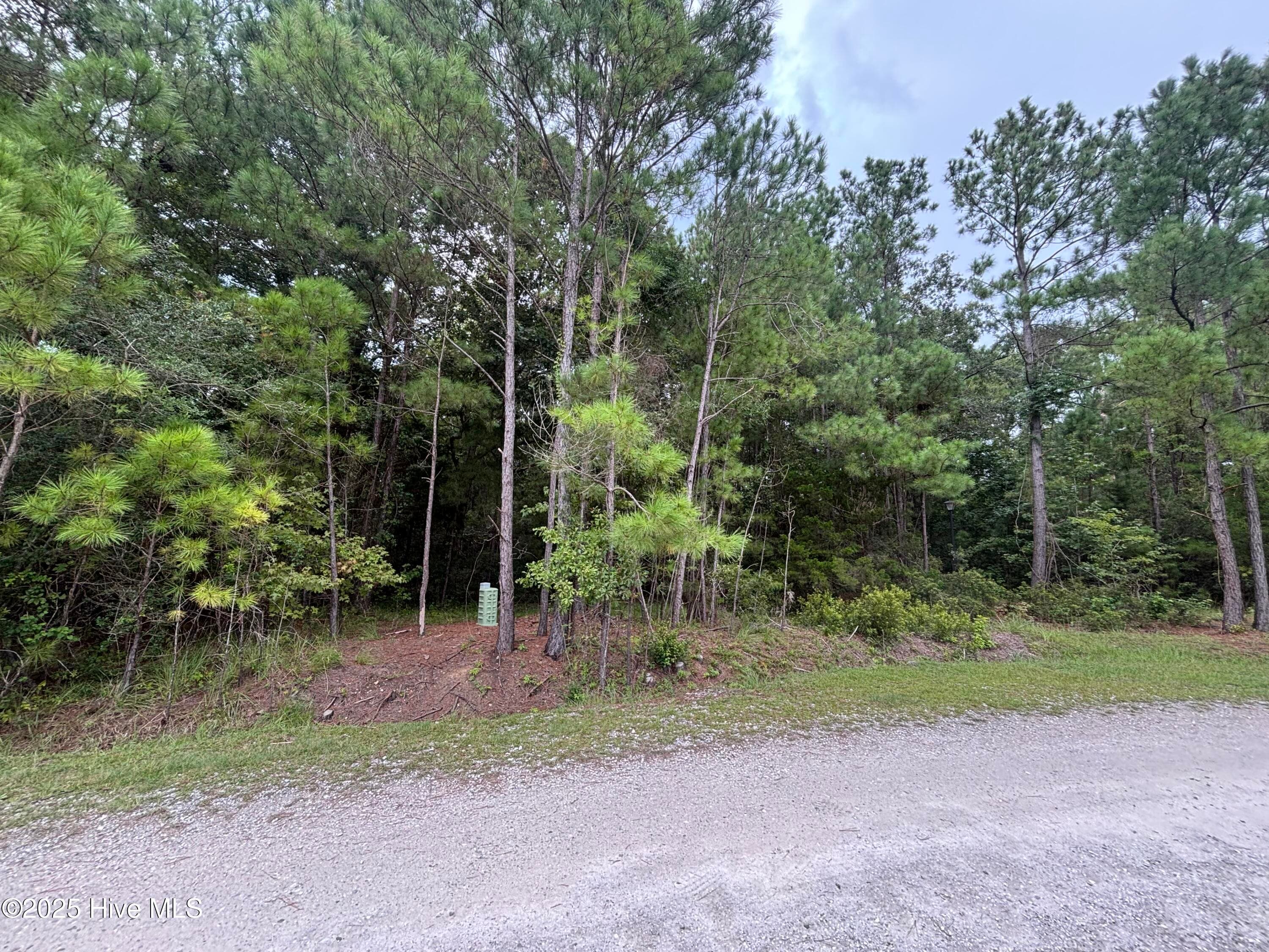 Residential Lot at 4110 Arabian Way SW, Shallotte, NC 28470, photo 7 of 11