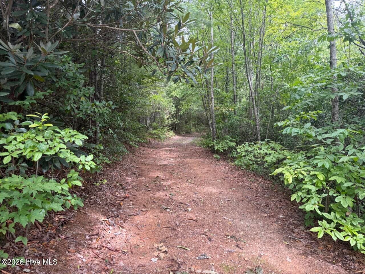 Undeveloped at 760 Cliff Top Trail, Andrews, NC 28901, photo 2 of 14