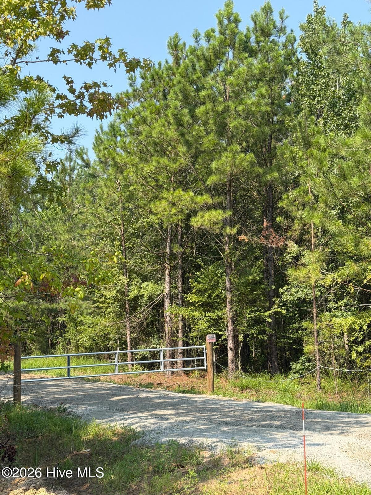Residential Lot at 0 Netherland Road, Midville, GA 30441, photo 4 of 6