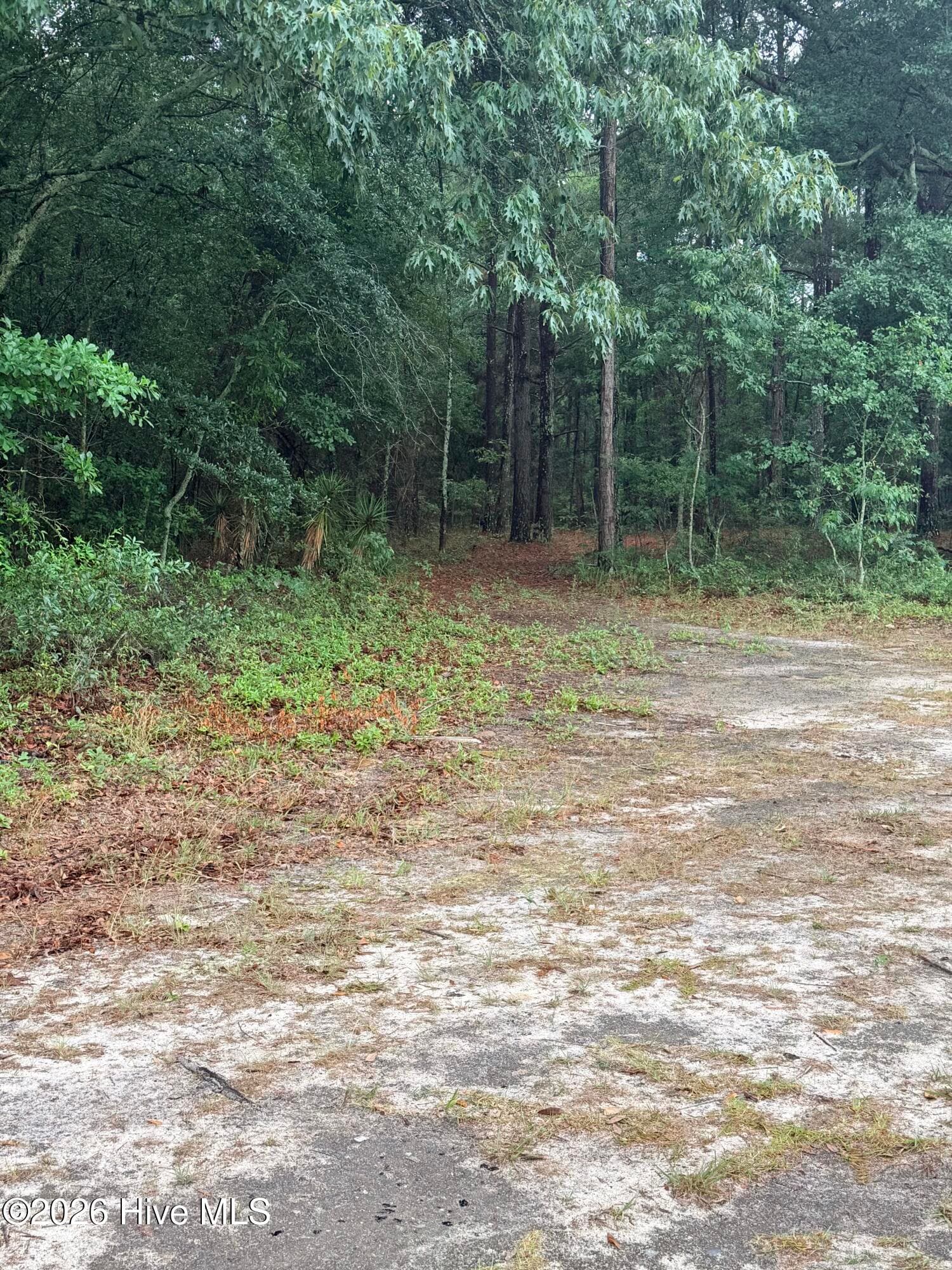 Wooded at 0 Alma Drive, North, SC 29112, photo 3 of 6