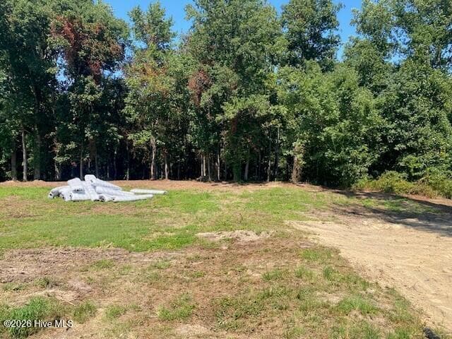 Single Family Residence at 5230 Roseheath Court, Bailey, NC 27807, photo 6 of 31