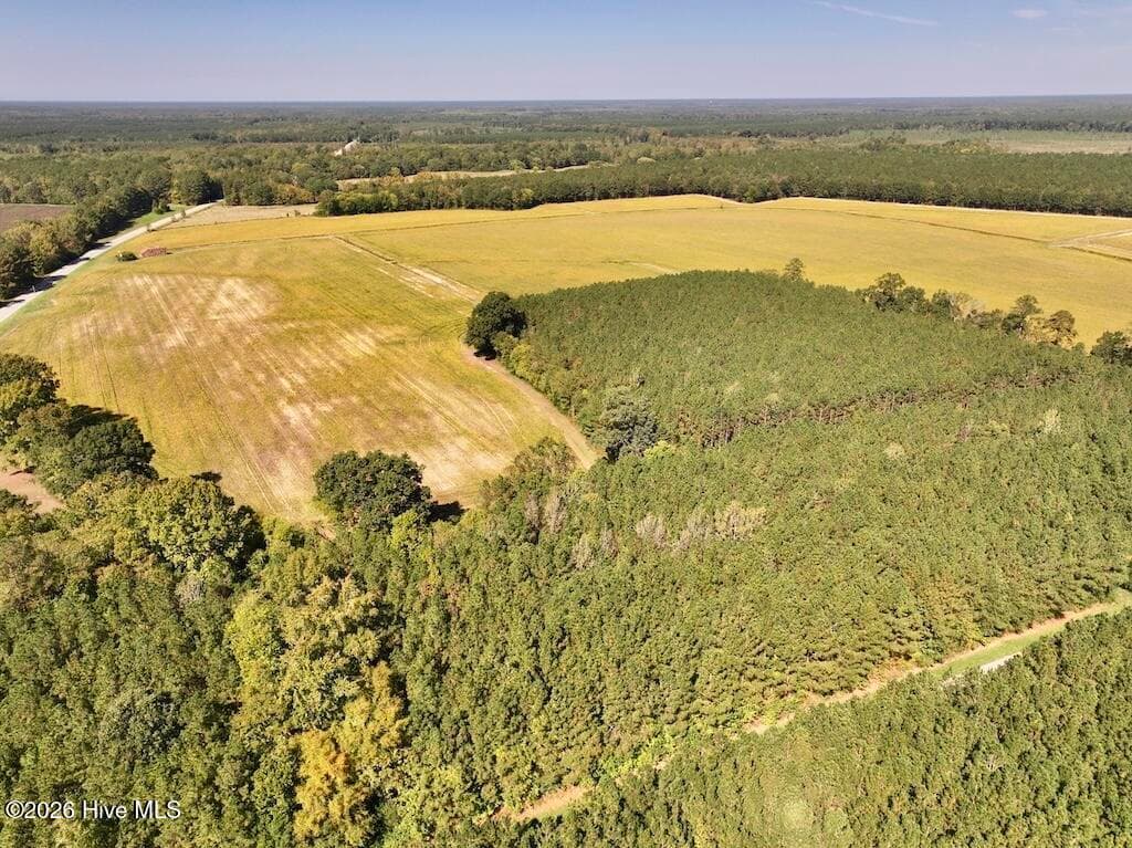 Mixed Use at 0 Spring Hill Road, Scotland Neck, NC 27874, photo 70 of 93