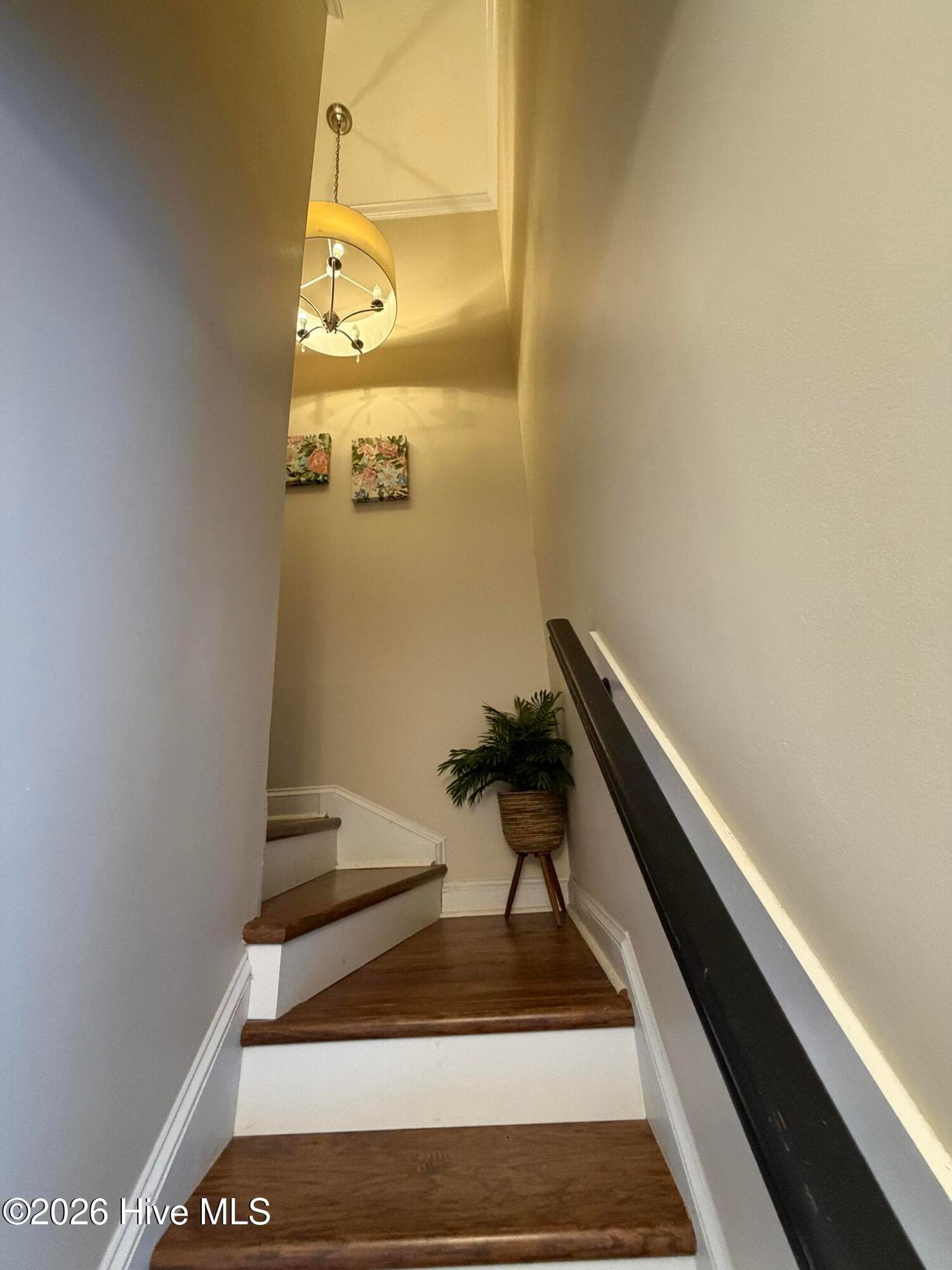 Condominium at 1668 Goshen Road F3, Augusta, GA 30906, photo 15 of 27