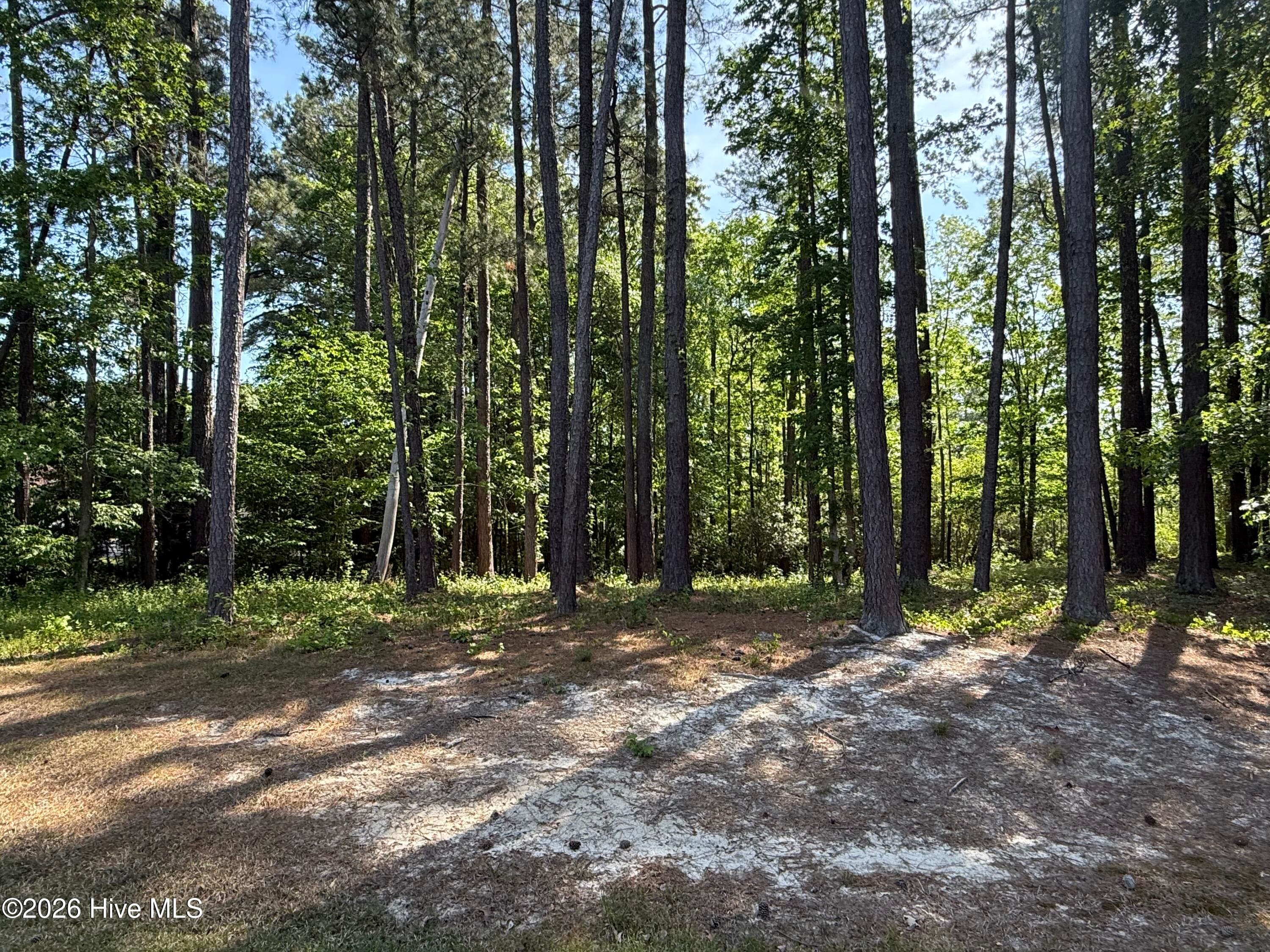 Residential Lot at 14 Greenwood Drive, Hertford, NC 27944, photo 11 of 23