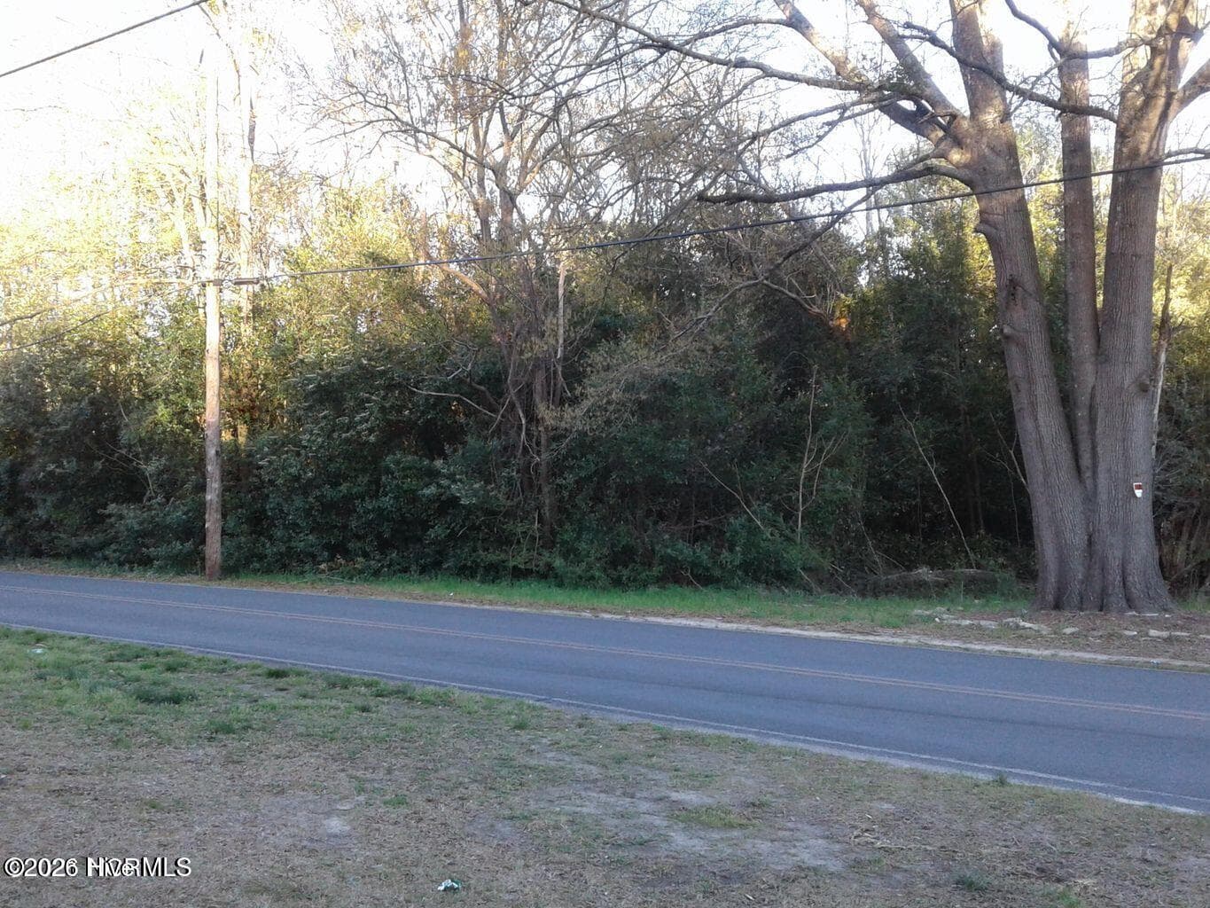 Undeveloped at 122-124 Earl Franklin Drive, Hamlet, NC 28345, photo 4 of 4