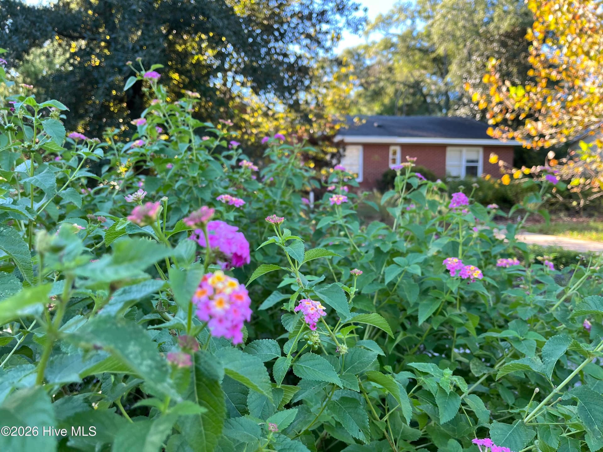 Single Family Residence at 320 Northern Boulevard, Wilmington, NC 28401, photo 148 of 159