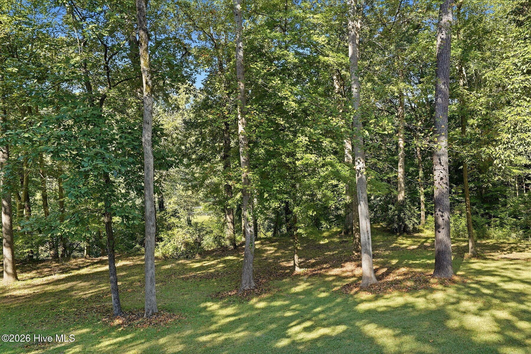 Single Family Residence at 415 River Bluff Drive N, Dunn, NC 28334, photo 39 of 88