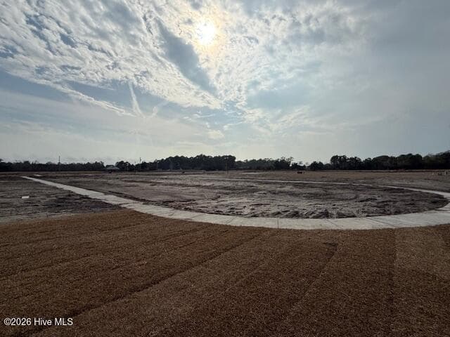 Single Family Residence at 102 Golden Finch Drive, Beaufort, NC 28516, photo 71 of 93