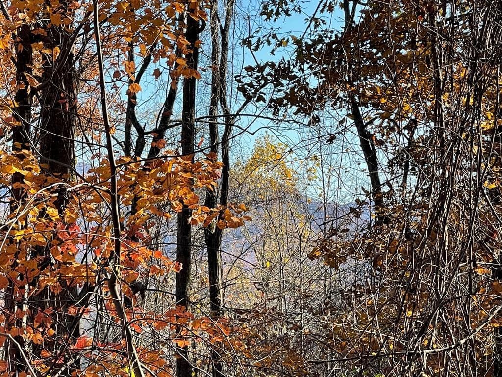 Residential Lot at 36 54c Ash Branch Circle, Hayesville, NC 28904, photo 2 of 5
