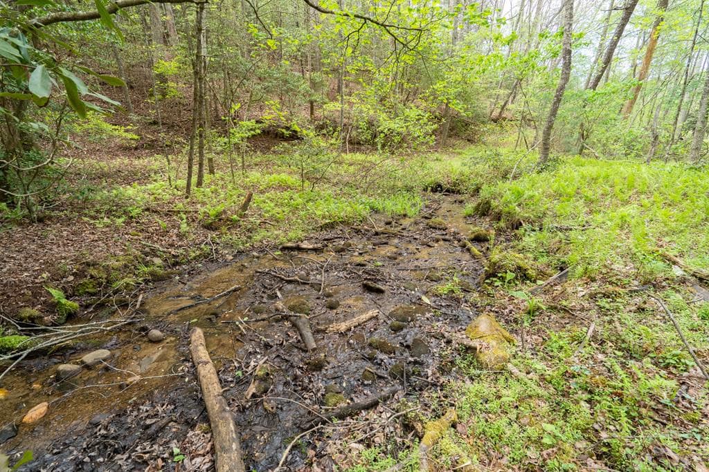 Wooded at 125 Milk And Honey Drive, Murphy, NC 28902, photo 13 of 23