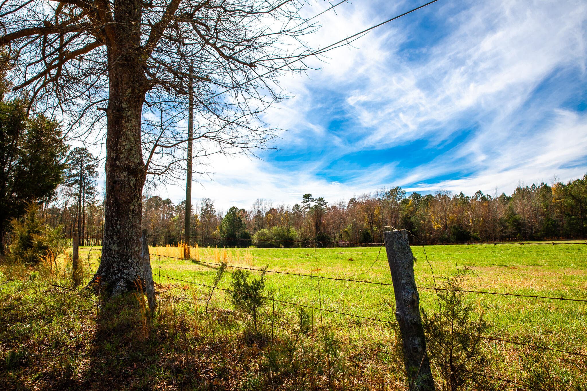 Undeveloped at 3520 3 Mistletoe Rd Road, Appling, GA 30802, photo 9 of 12