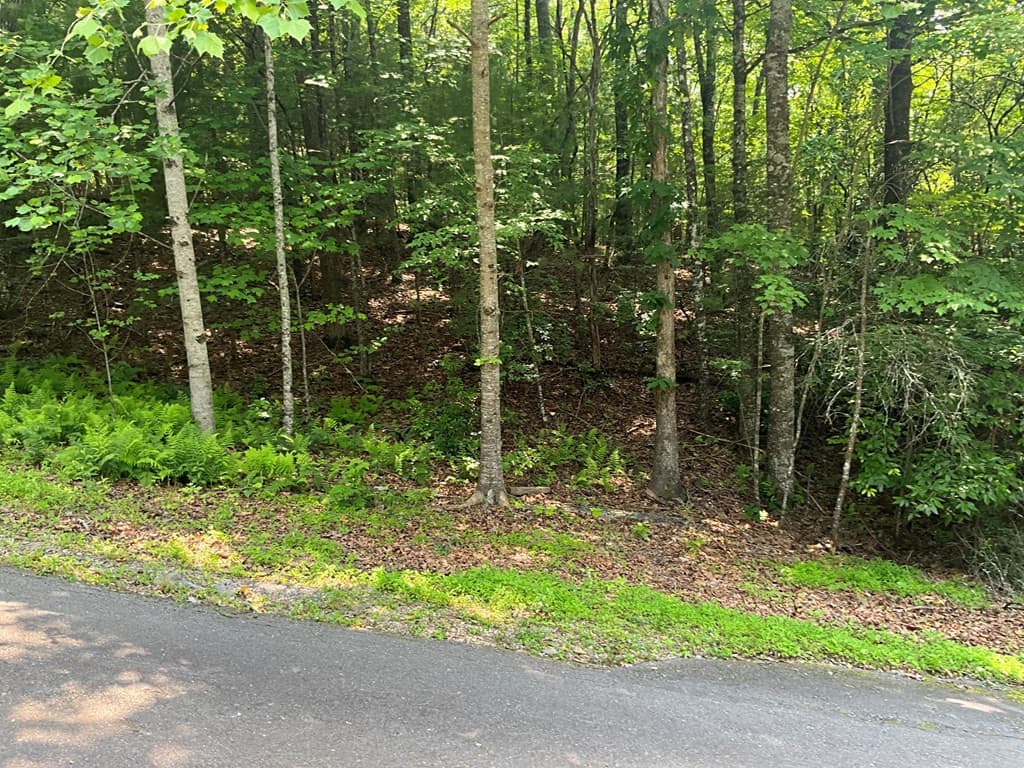 Land at 5 Birds View Lane, Murphy, NC 28906, photo 3 of 17