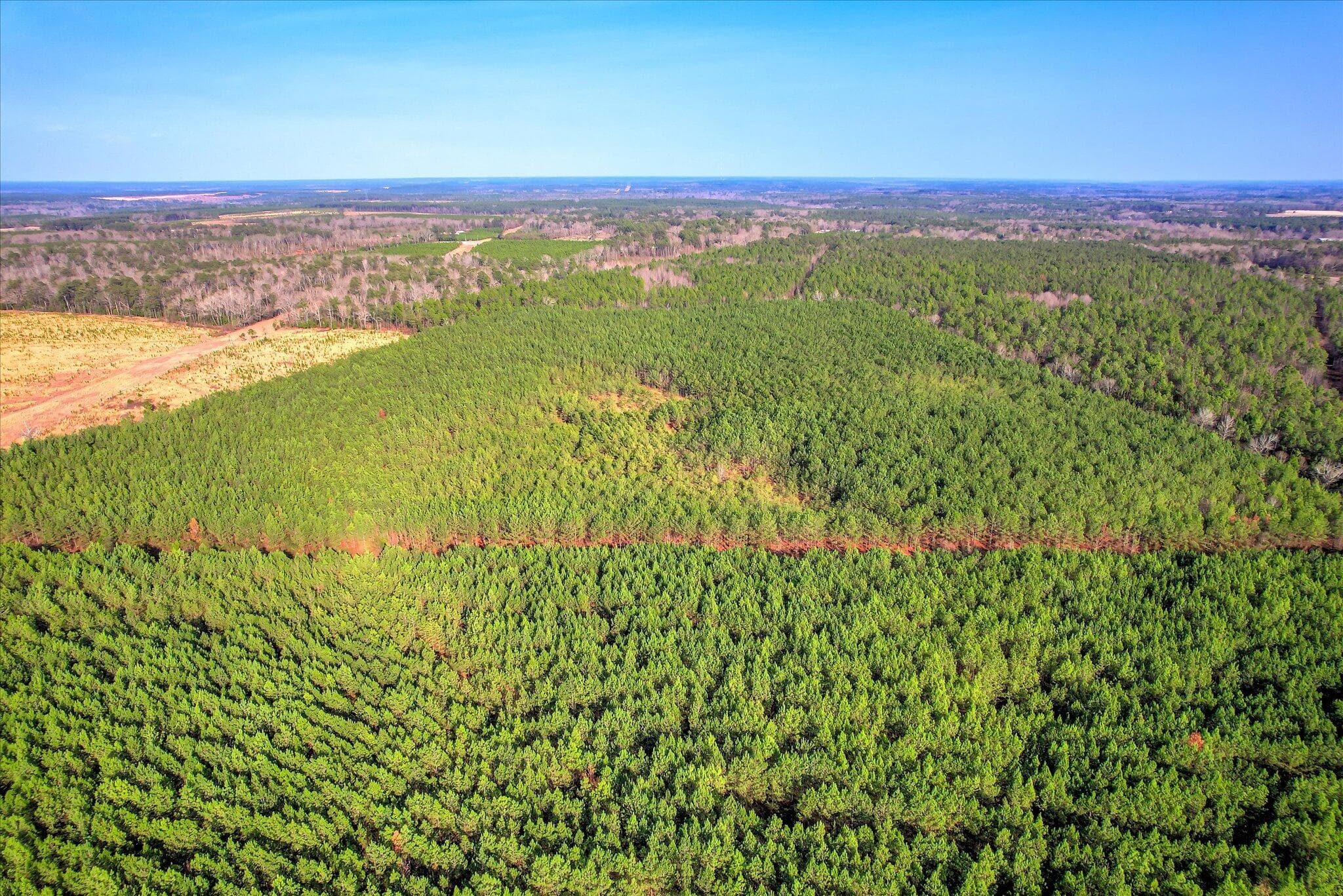 Mixed Use at 0 Old Thomson Road, Wrens, GA 30833, photo 5 of 17