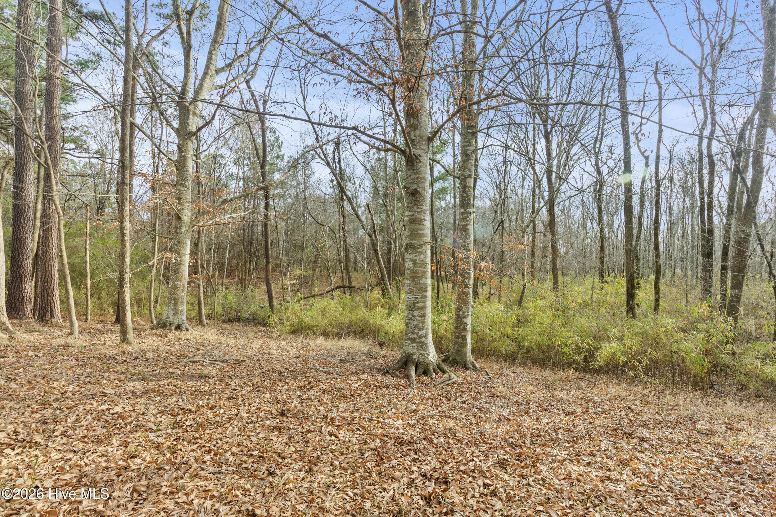 Undeveloped at 2711 Old Airport Road, New Bern, NC 28562, photo 10 of 23