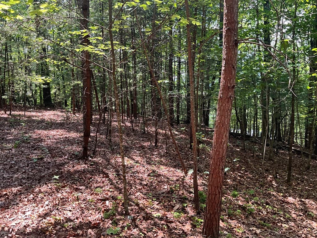 Land at 5 Birds View Lane, Murphy, NC 28906, photo 11 of 17