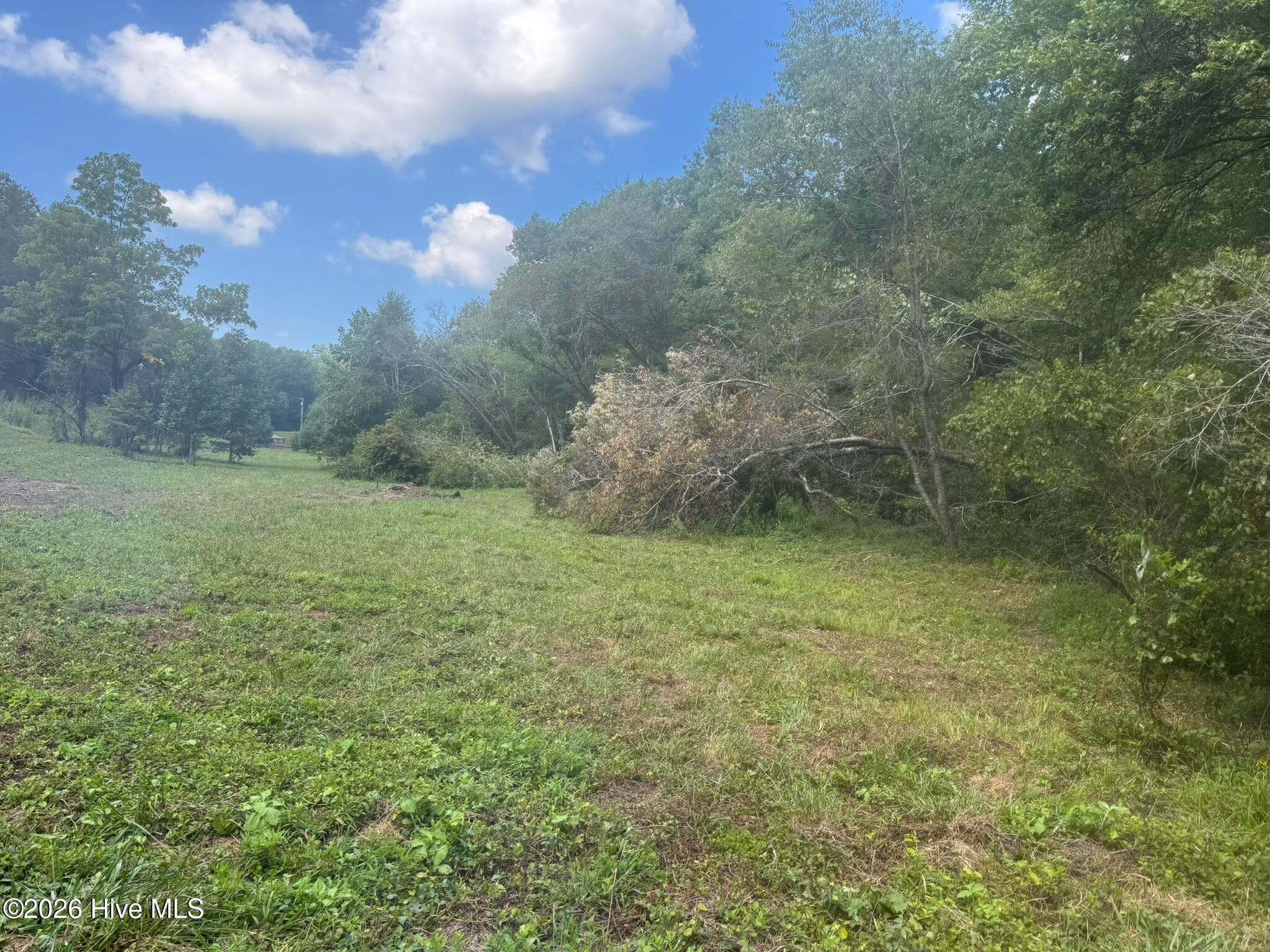 Undeveloped at 2231 Camp Creek Road, Murphy, NC 28906, photo 20 of 23