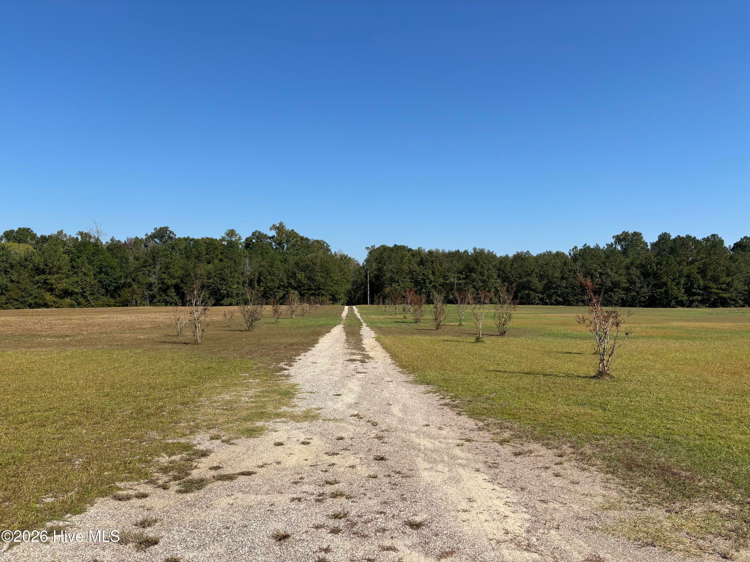 The driveway into the property. - 593 La Wane Lane, Trenton, NC 28585