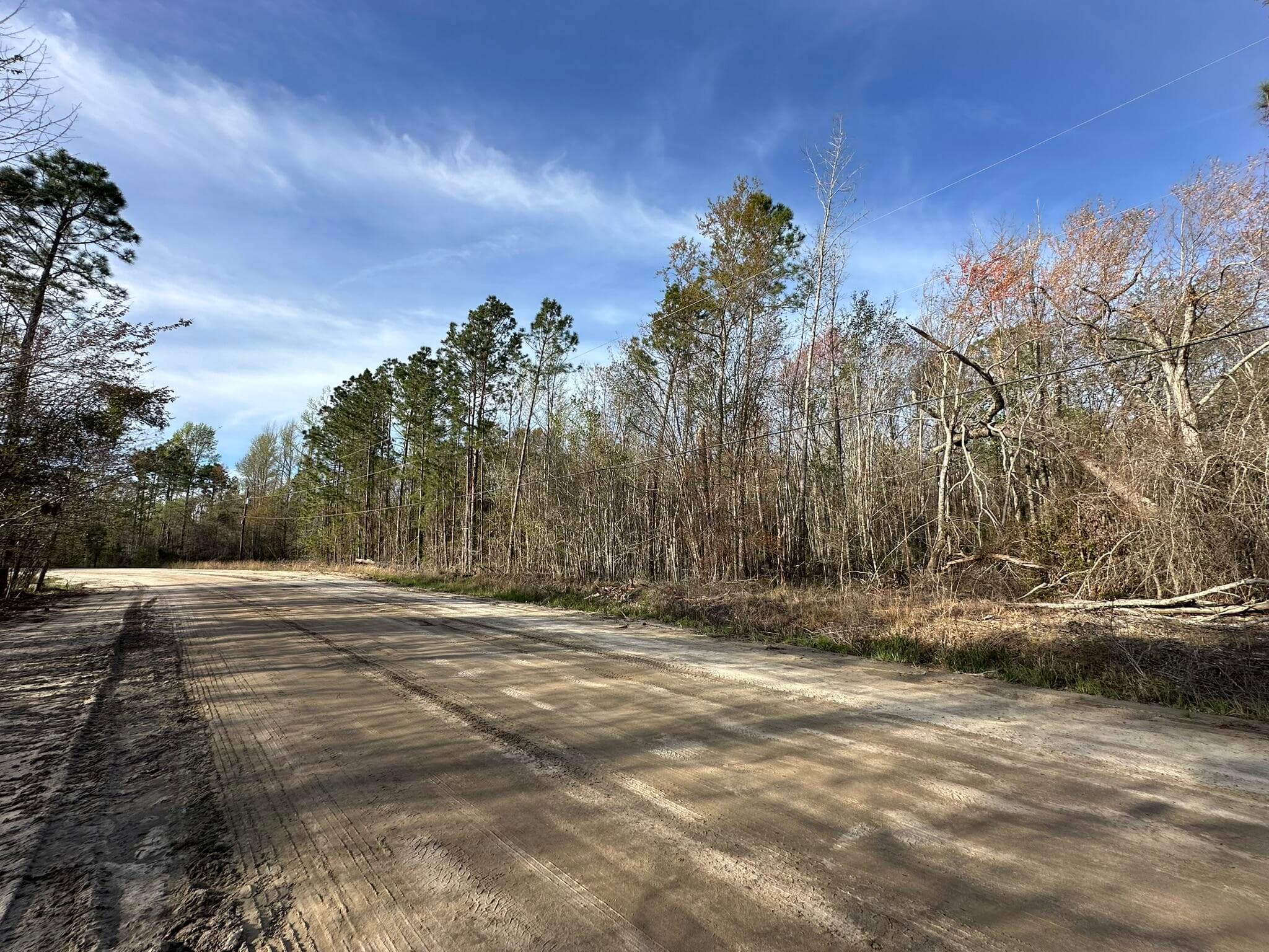 Residential Lot at Lot 12 Robin Boulevard, Swainsboro, GA 30401, photo 2 of 11