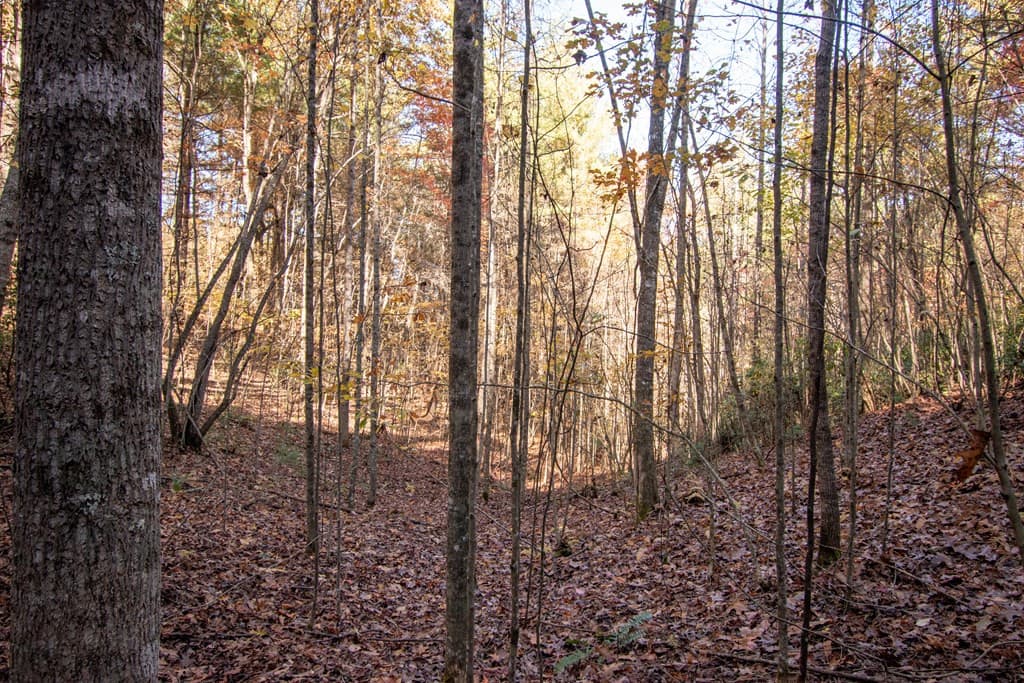 Wooded at Lt 66 66 Choctaw Ridge Trail, Murphy, NC 28906, photo 7 of 10