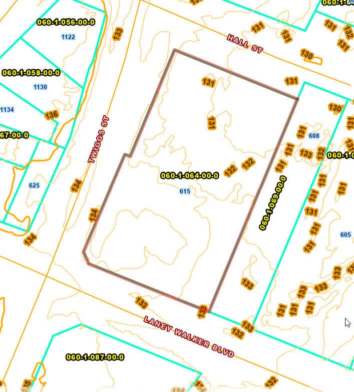 Unimproved Land at 615 Laney Walker Boulevard, Augusta, GA 30901, photo 4 of 5