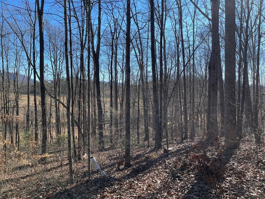 Residential Lot at Lot #12e 12E The Woodlands, Hayesville, NC 28904, photo 4 of 6
