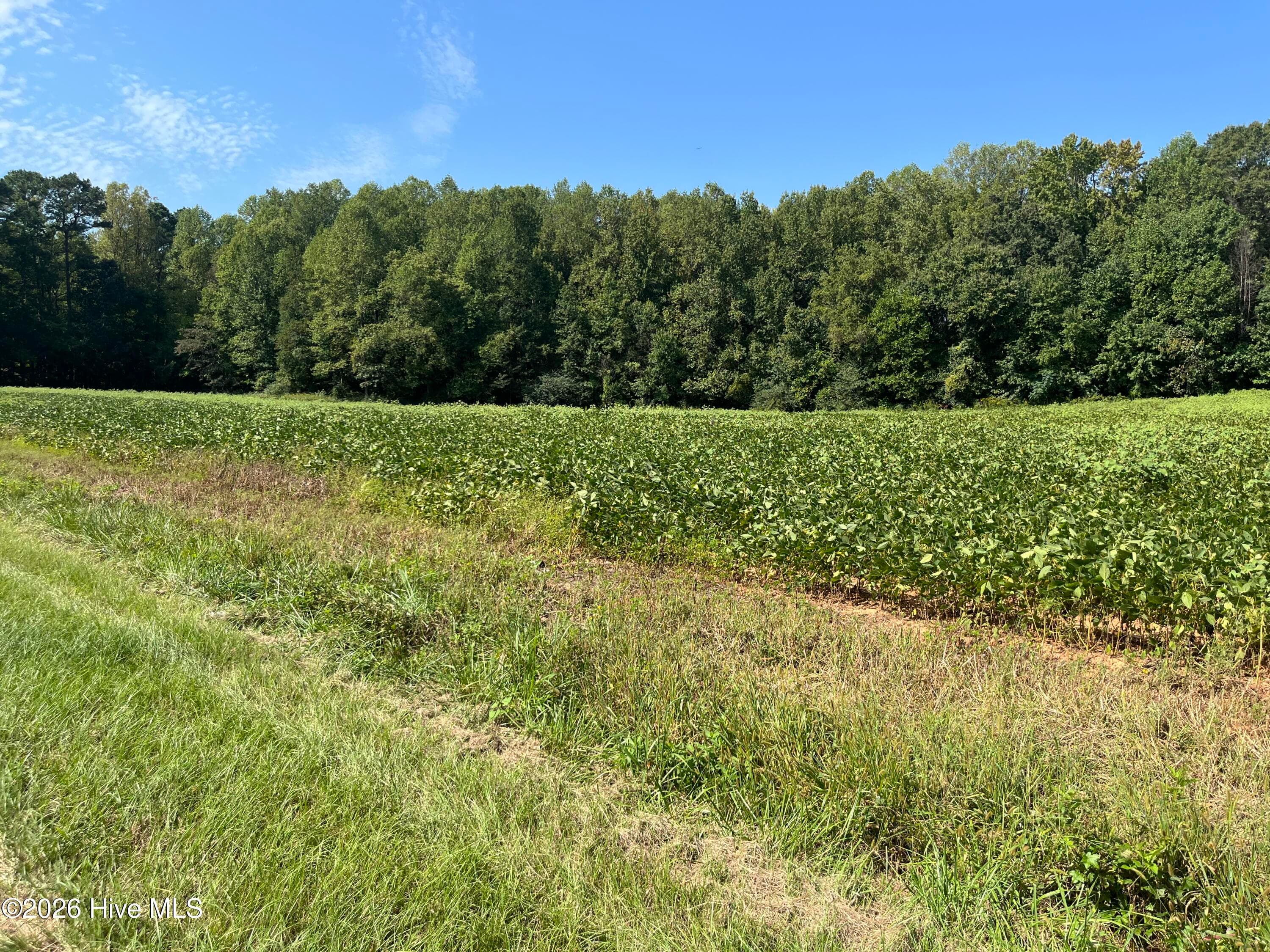 Undeveloped at 9011 Pleasant Grove Church Road, Spring Hope, NC 27882, photo 8 of 11