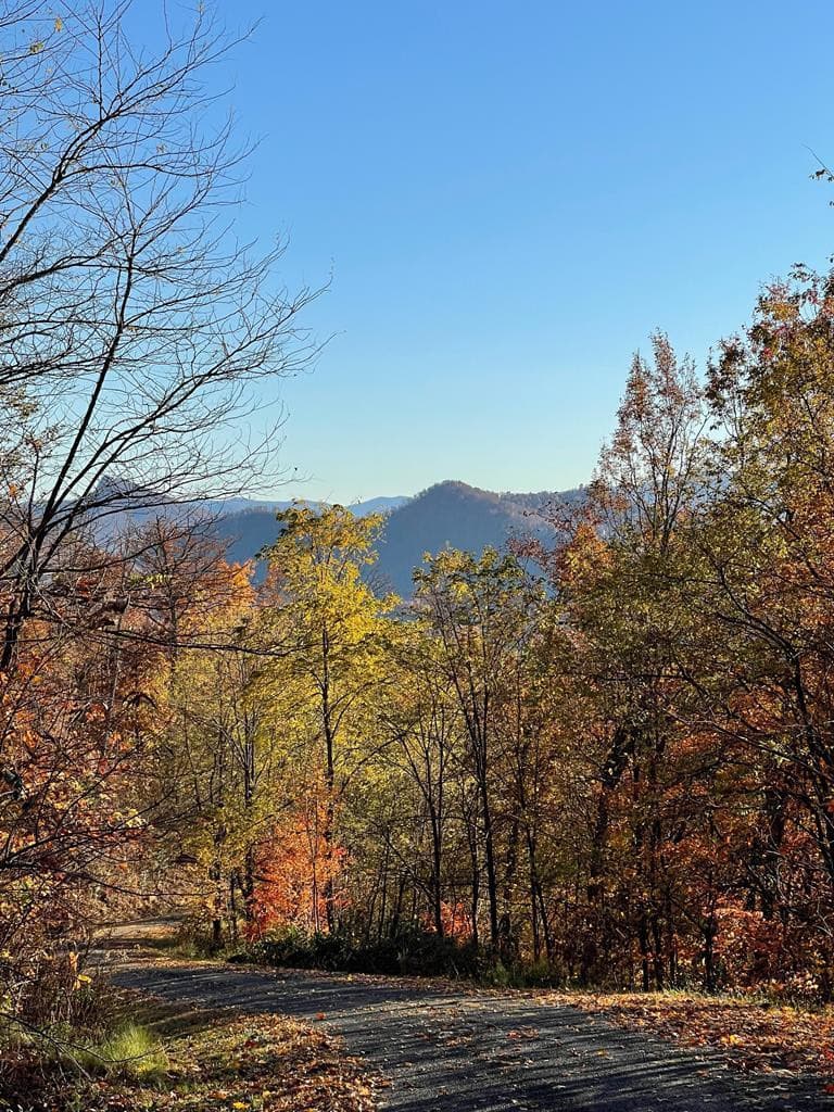 Lot 58m 58M Ridges, Hayesville, NC 28904