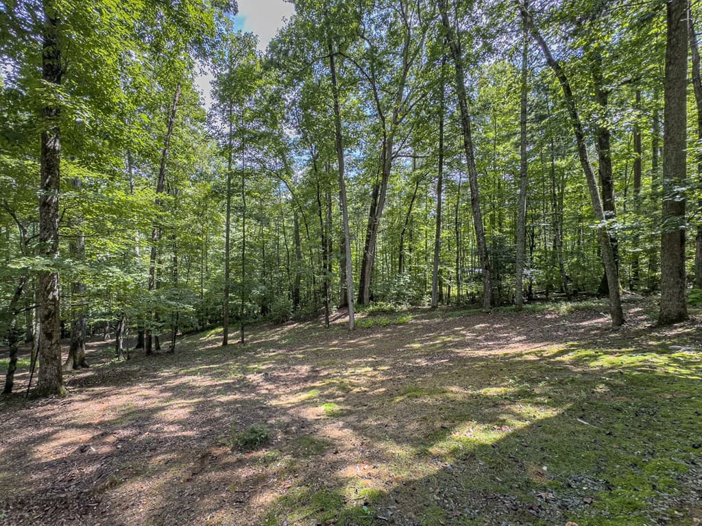Single Family Residence at 89 Box Turtle Lane, Murphy, NC 28906, photo 14 of 48