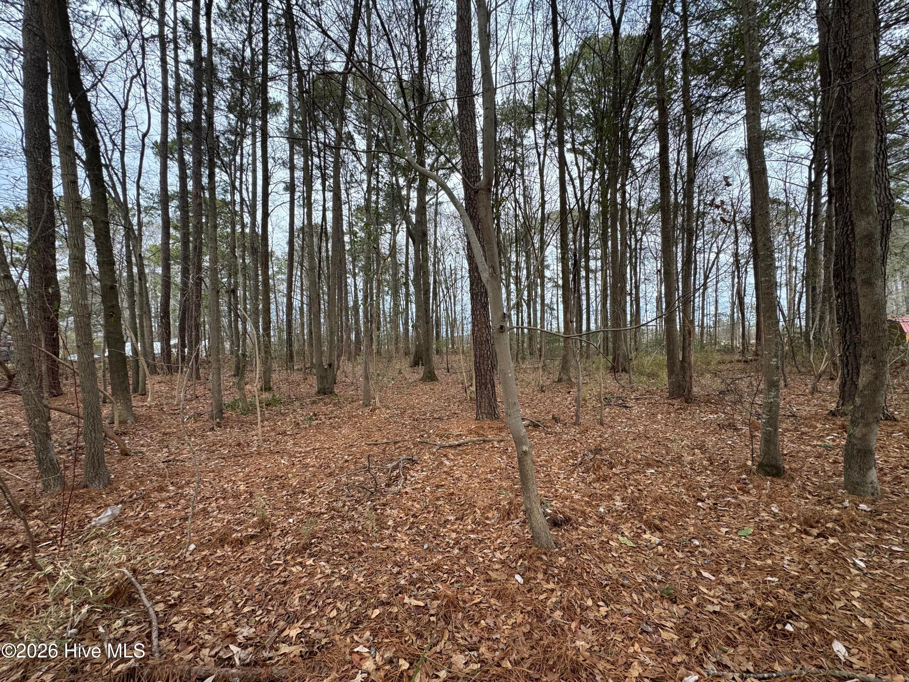 Residential Lot at 0 Lincoln Drive, Kenly, NC 27542, Kenly, photo 6 of 7