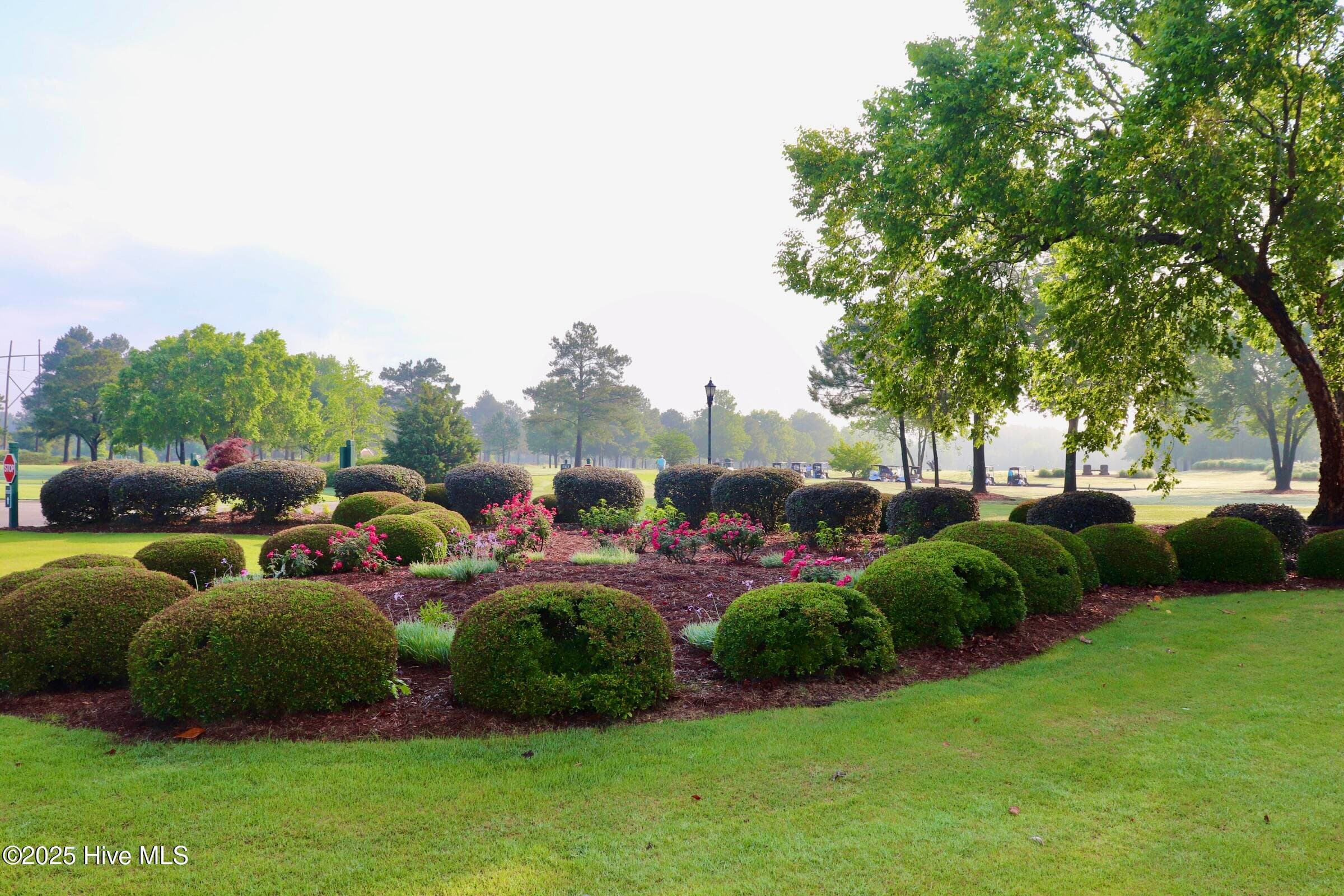 Single Family Residence at 141 Sycamore Lakes Drive, Wallace, NC 28466, photo 100 of 101