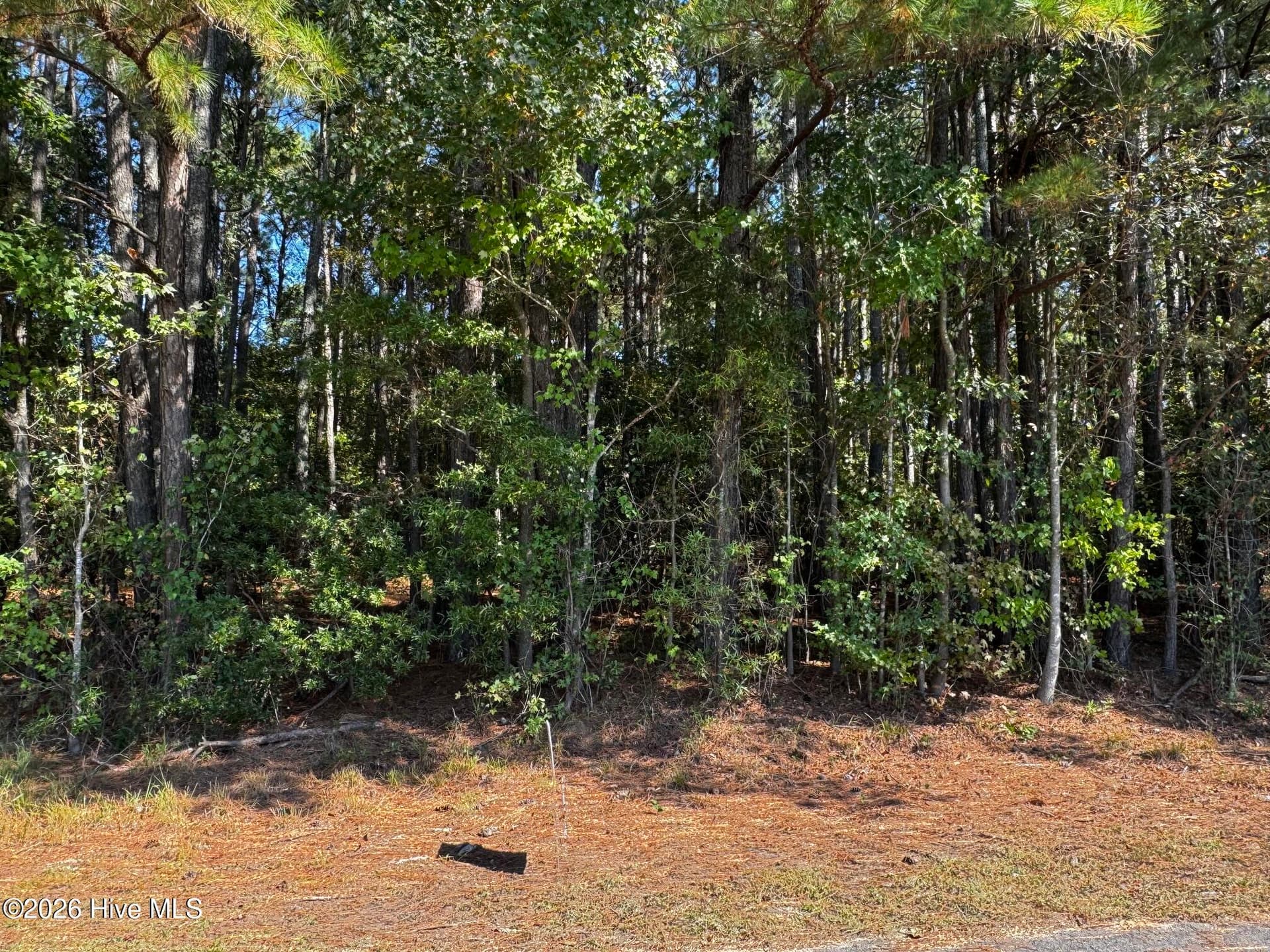 20 20 Deer Track Drive, Clinton, NC 28328