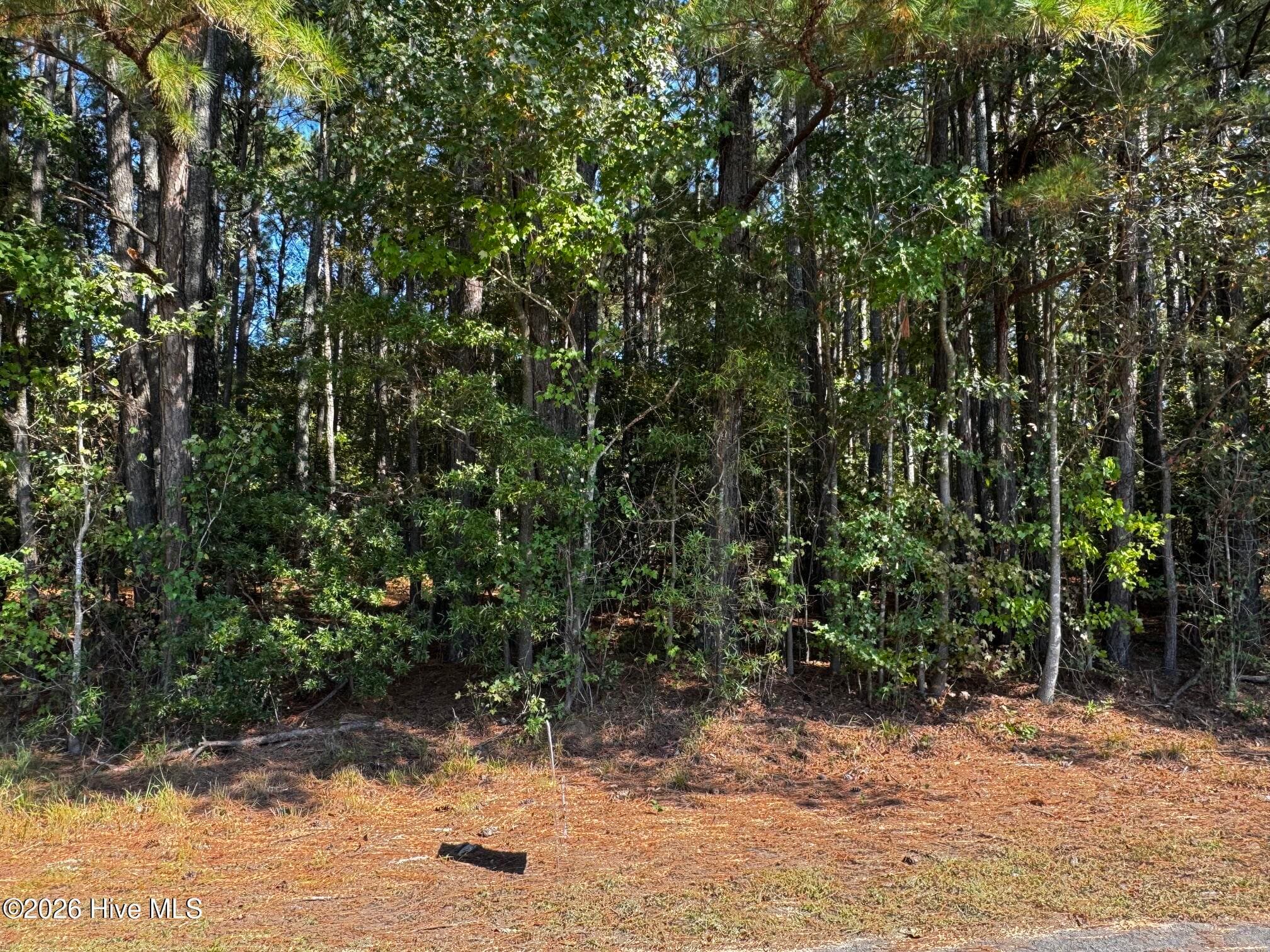20 20 Deer Track Drive, Clinton, NC 28328