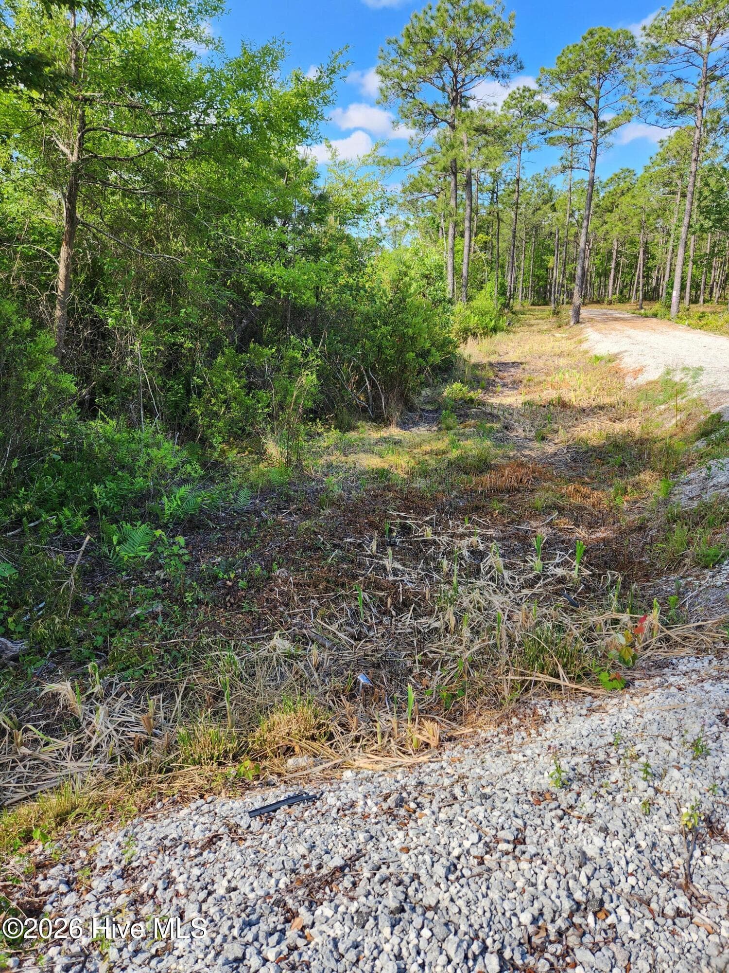 Undeveloped at 372 Greenview Ranches, Wilmington, NC 28411, photo 19 of 61