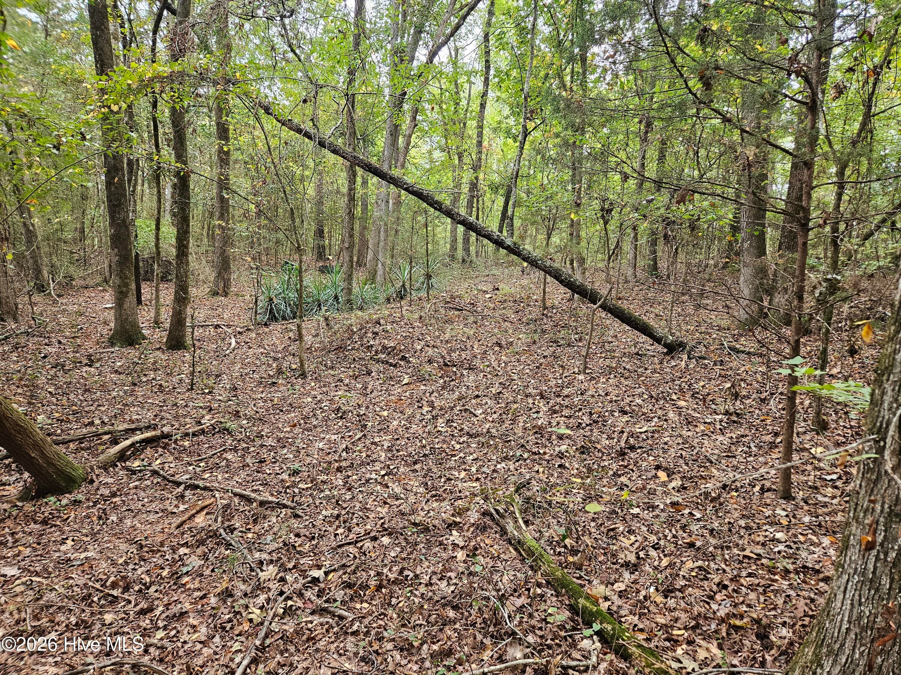 Wooded at 0 Washington Highway, Lincolnton, GA 30817, photo 6 of 11
