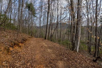 Single Family Residence at 1132 Hells Hollow Road, Blue Ridge, GA 30513, photo 52 of 60