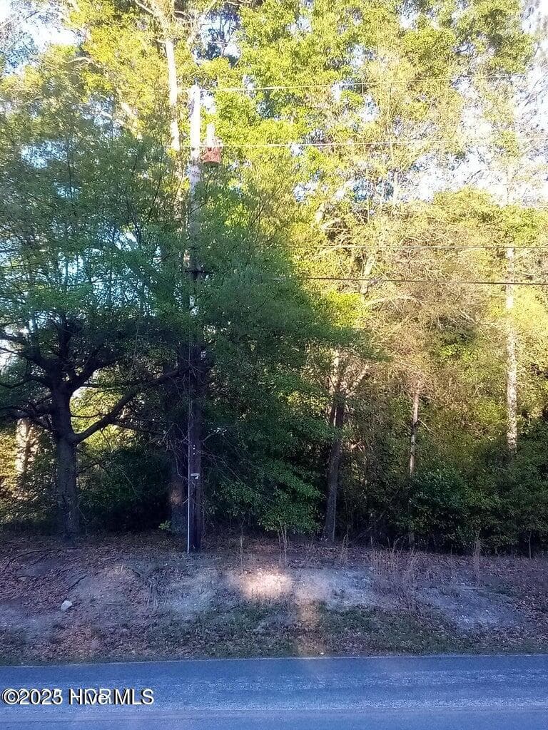 Residential Lot at Tbd Hwy 74 E, Hamlet, NC 28345, photo 6 of 7