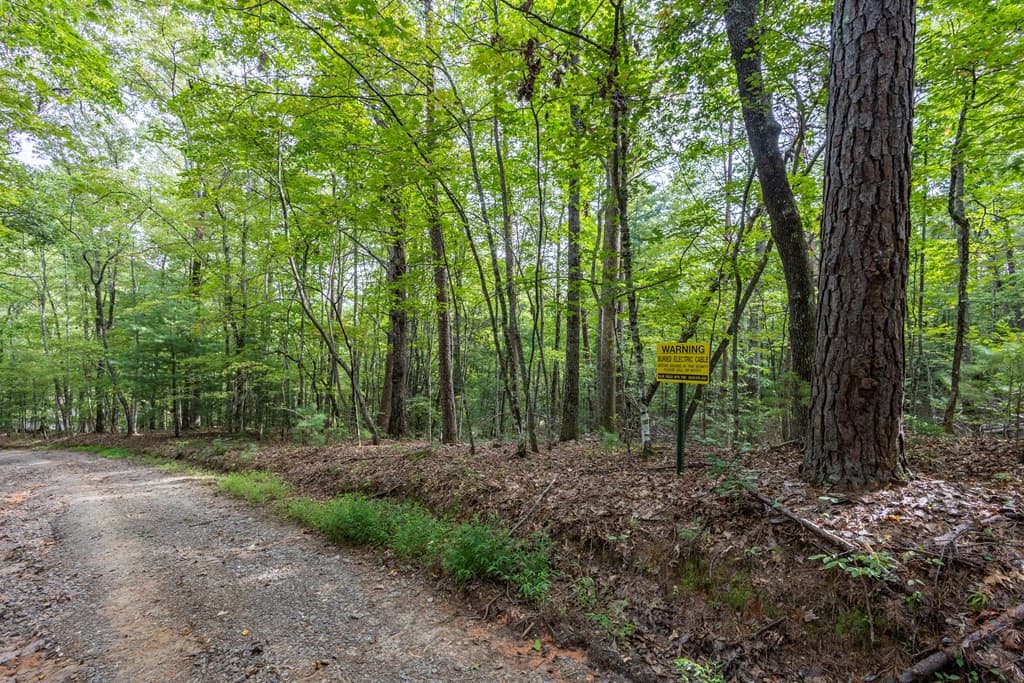 Residential Lot at 2 Ac 6 Horvath Road, Murphy, NC 28906, photo 4 of 12