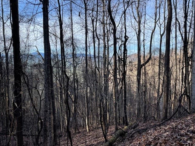 Lot 73 73 Hidden Treasure Estates, Murphy, NC 28906