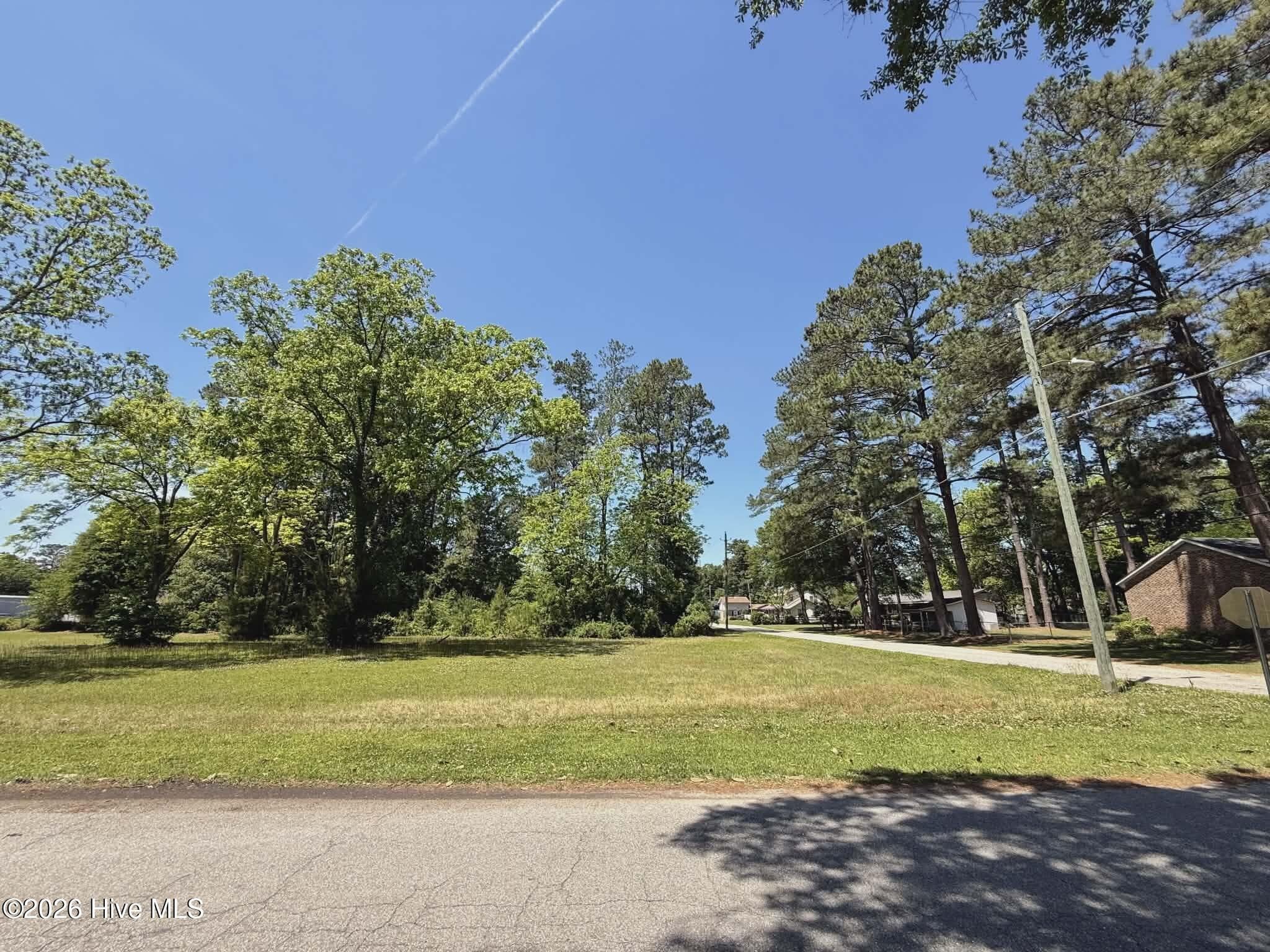 Residential Lot at Lot 98 Near 210 E 5th Avenue, Chadbourn, NC 28431, photo 4 of 4