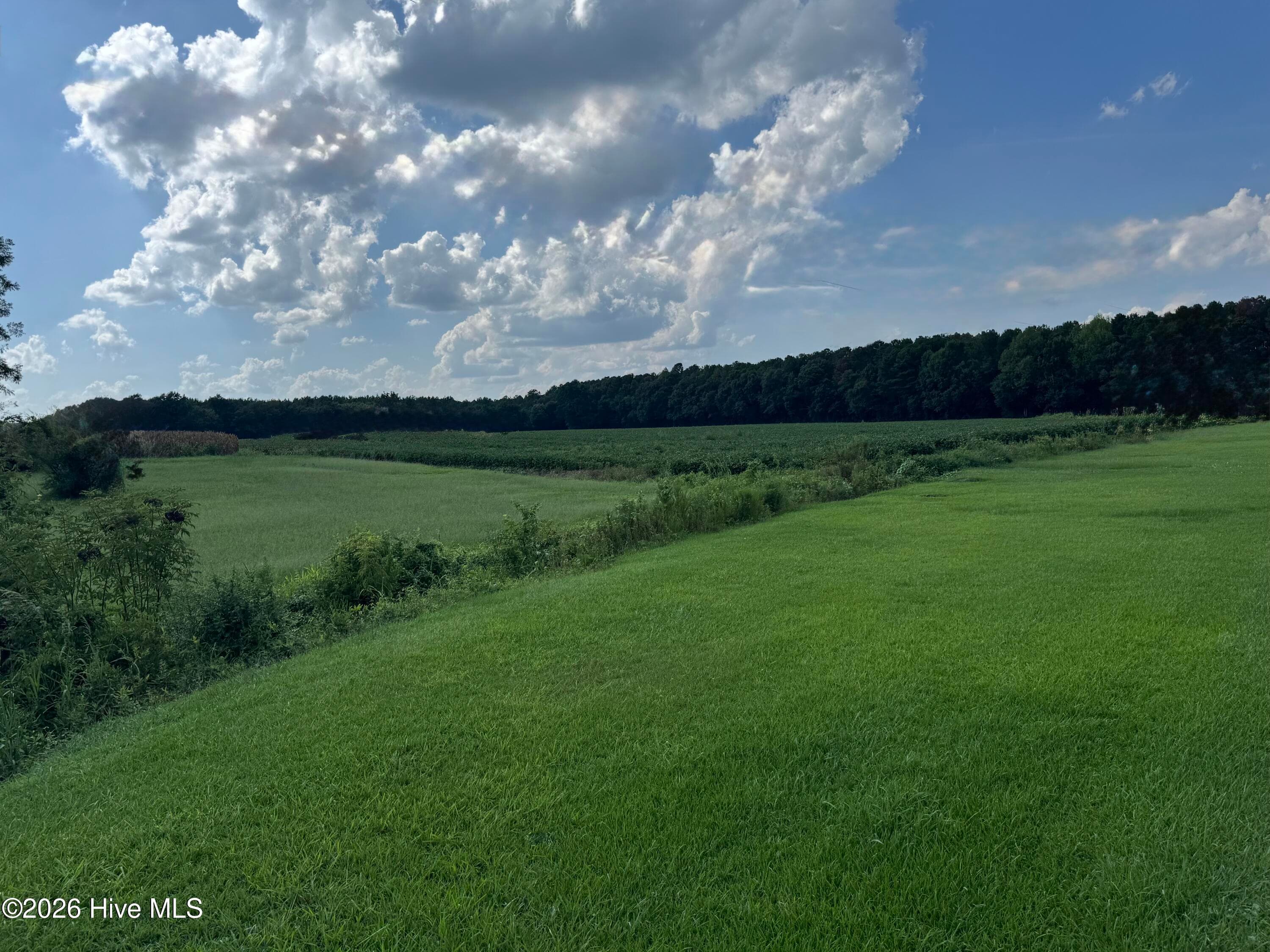 Residential Lot at 252 1-4 Haw Branch Road, Richlands, NC 28574, photo 2 of 2