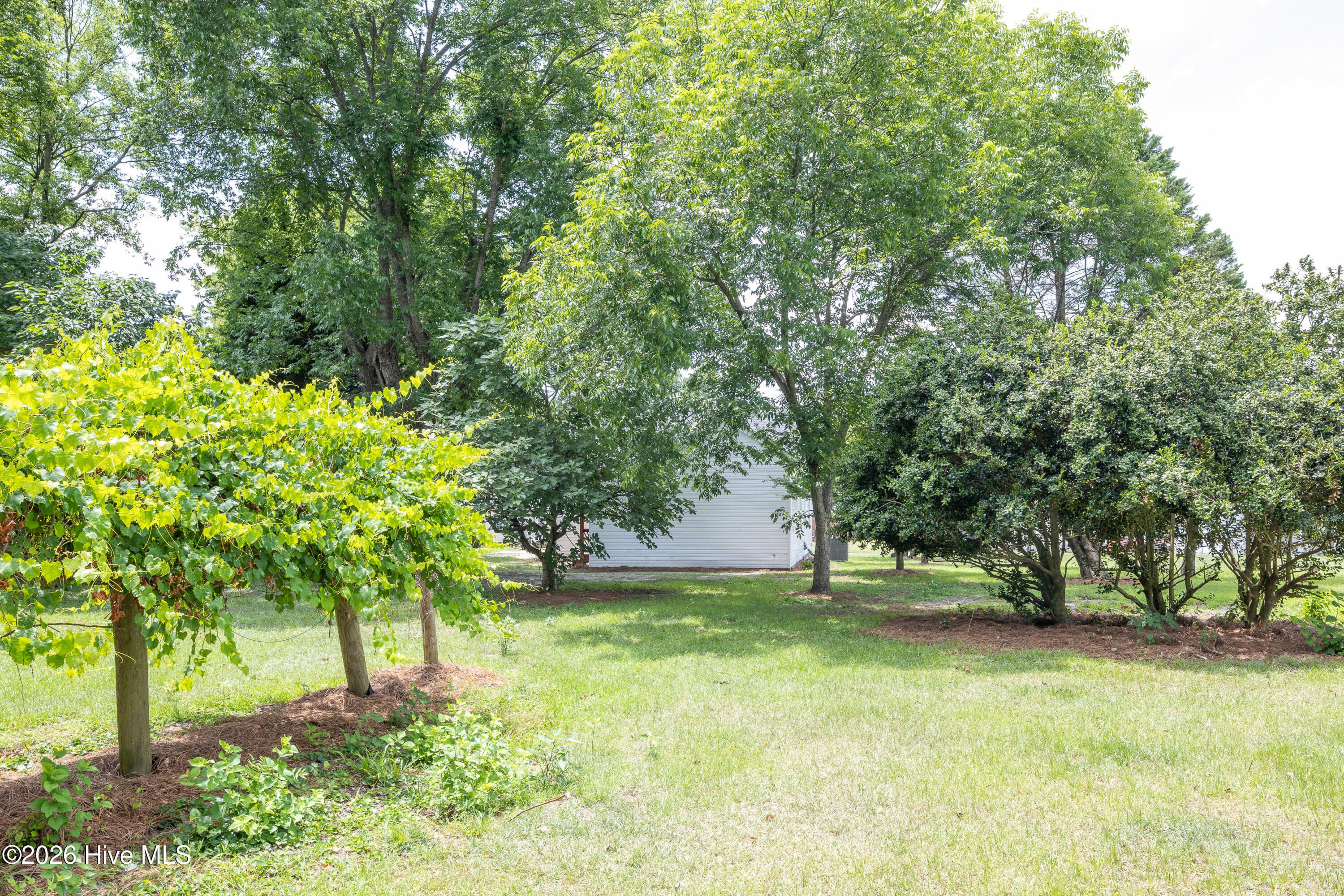 Single Family Residence at 309 Stetson Street, Clinton, NC 28328, photo 30 of 33