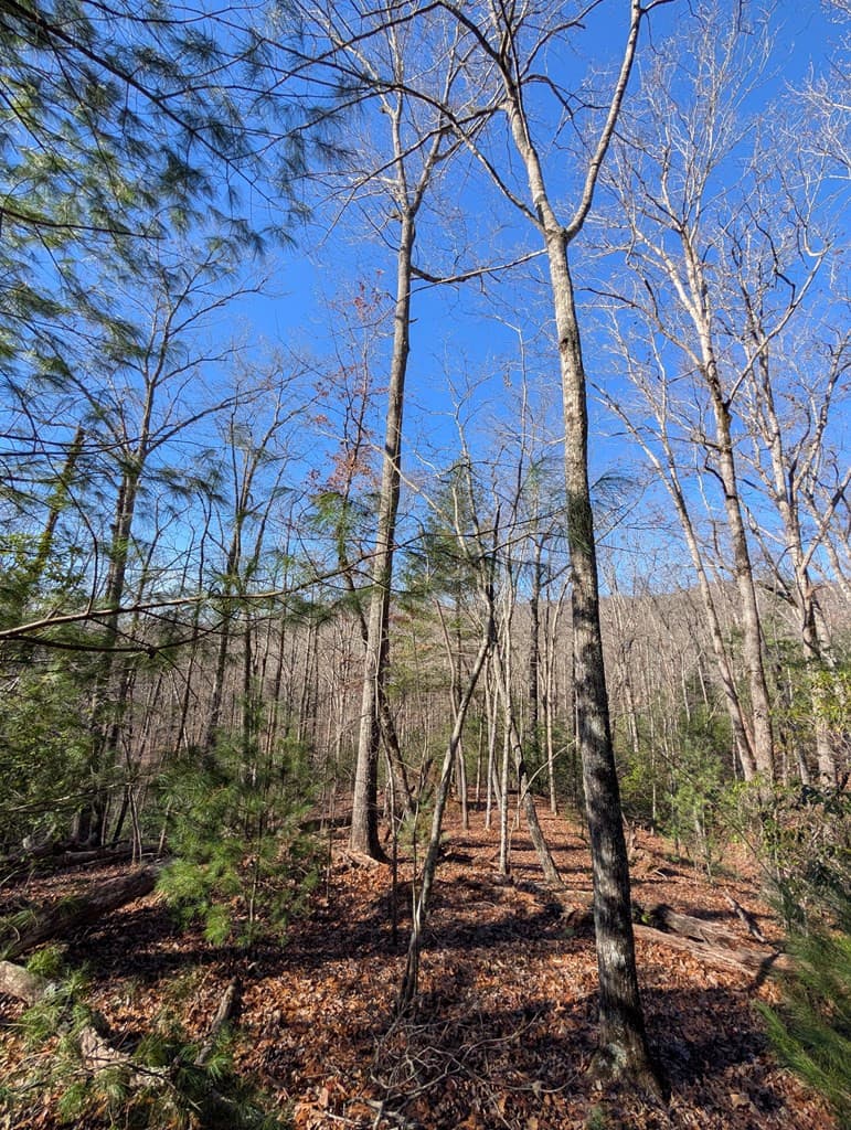 Lot 31 31 Tower Falls Lane, Hayesville, NC 28904
