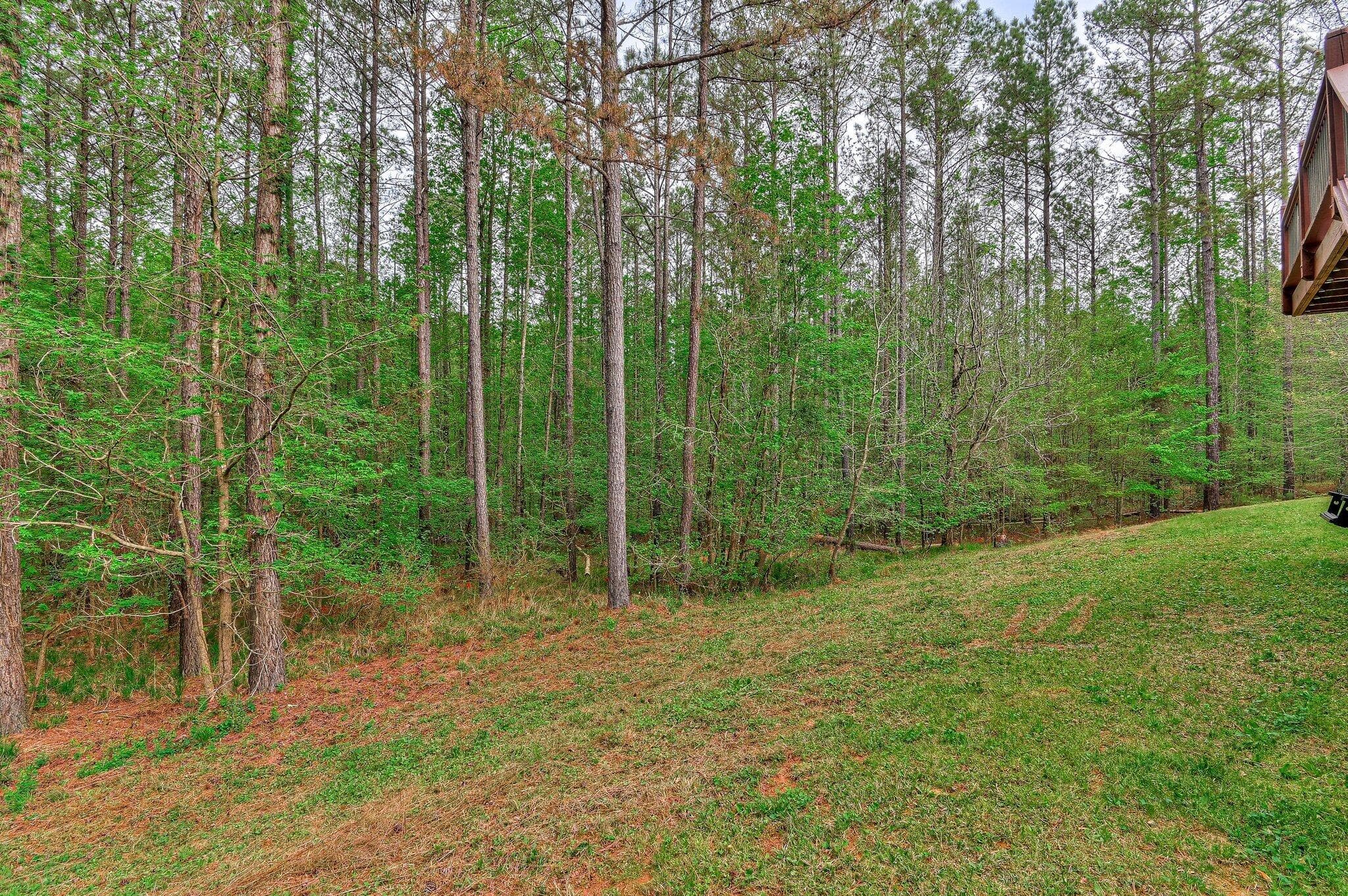Single Family Residence at 1067 Maiden Cane Way, Lincolnton, GA 30817, photo 46 of 46