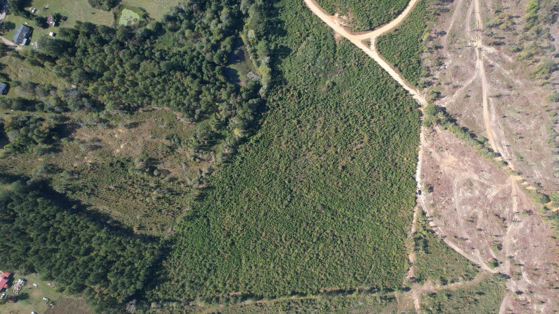 Agriculture at 00 Moores Drive, Edgefield, SC 29824, photo 11 of 14