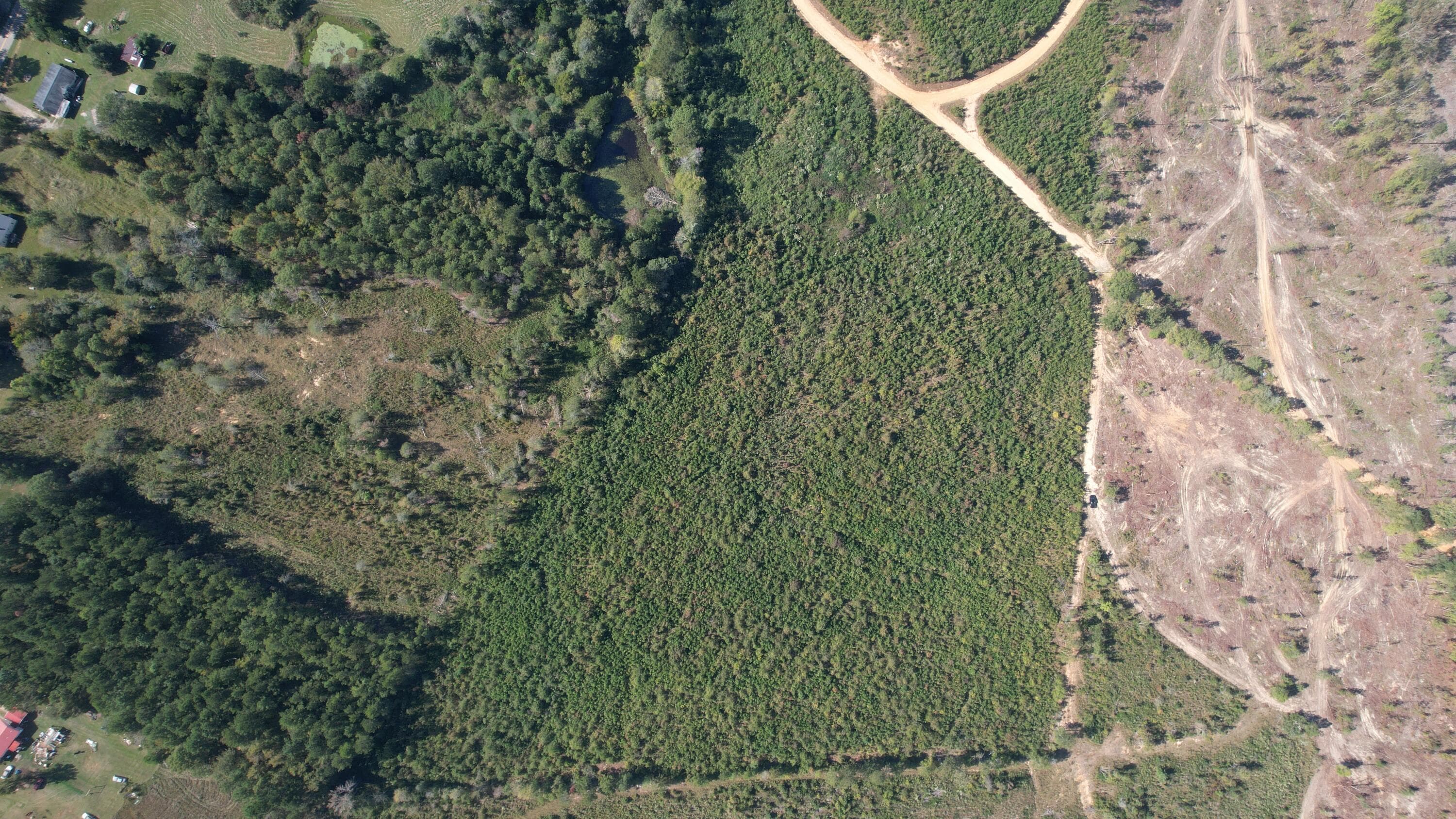 Agriculture at 00 Moores Drive, Edgefield, SC 29824, photo 11 of 14