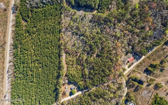 Undeveloped at 1014 Iler Road, Pembroke, GA 31321, photo 4 of 5