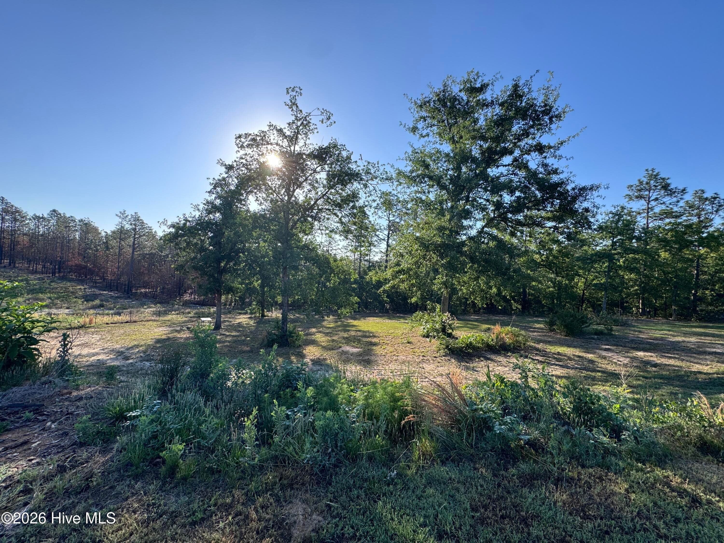 Single Family Residence at 4441 Etterle Road, Blythe, GA 30805, photo 20 of 137