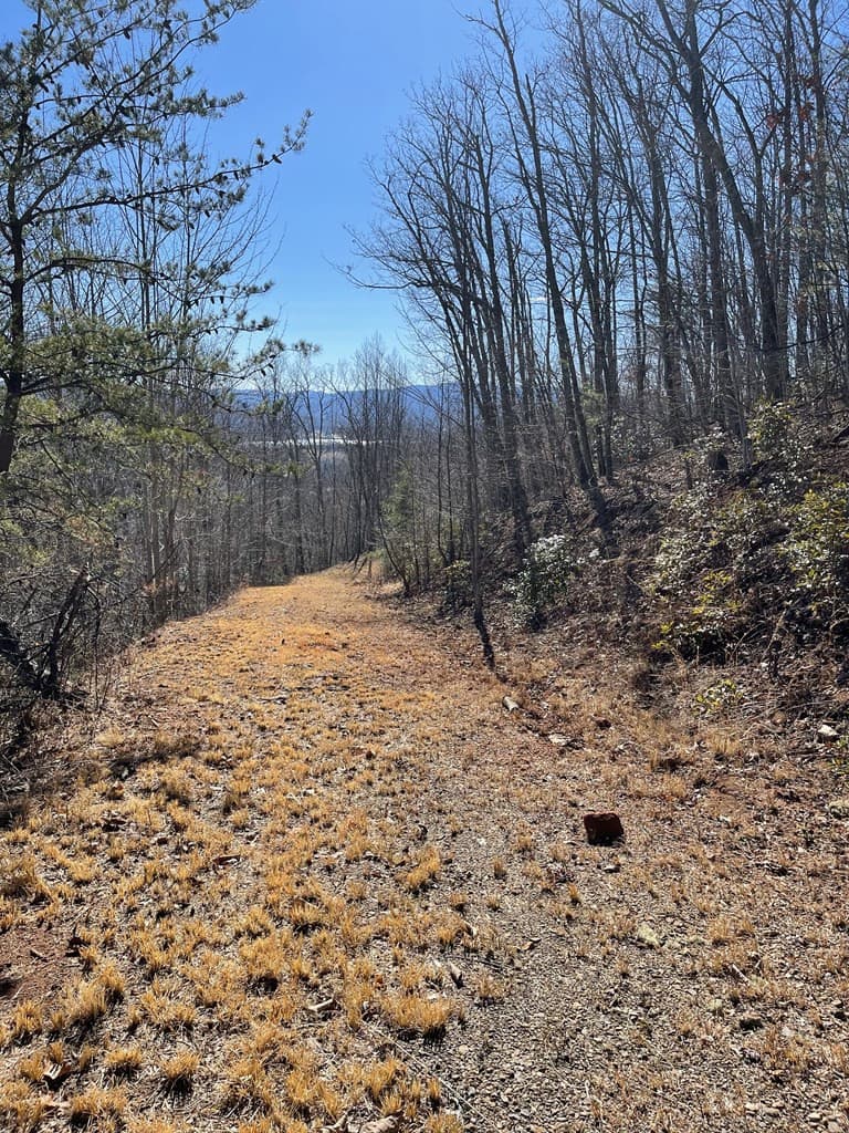 Residential Lot at Lot #45j Knollwood, Hayesville, NC 28904, photo 4 of 4
