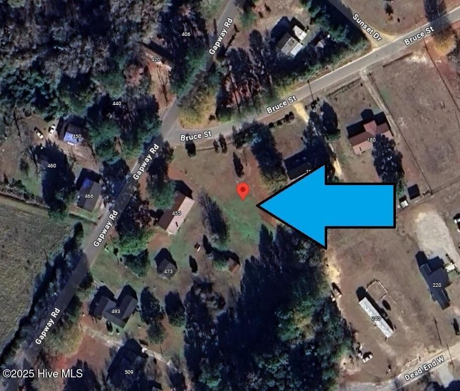 Residential Lot at 205 Bruce Street, Fair Bluff, NC 28439, photo 4 of 5