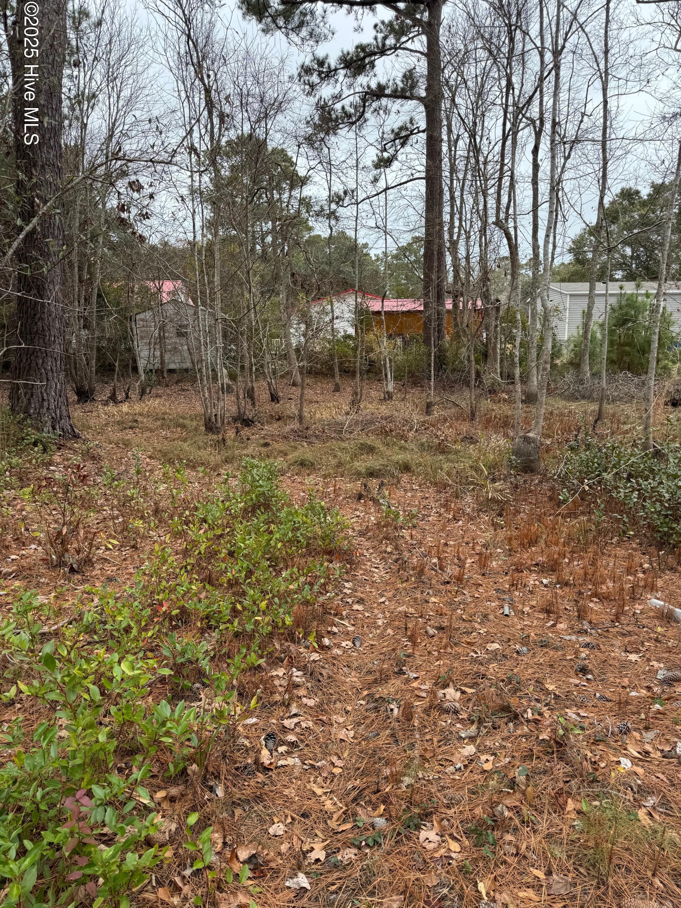 Residential Lot at 659 40,41 Brookneal Street SE, Bolivia, NC 28422, photo 2 of 3